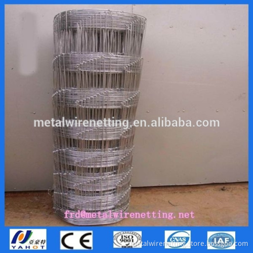 field fence/grassland fence/sheep fence (factory)